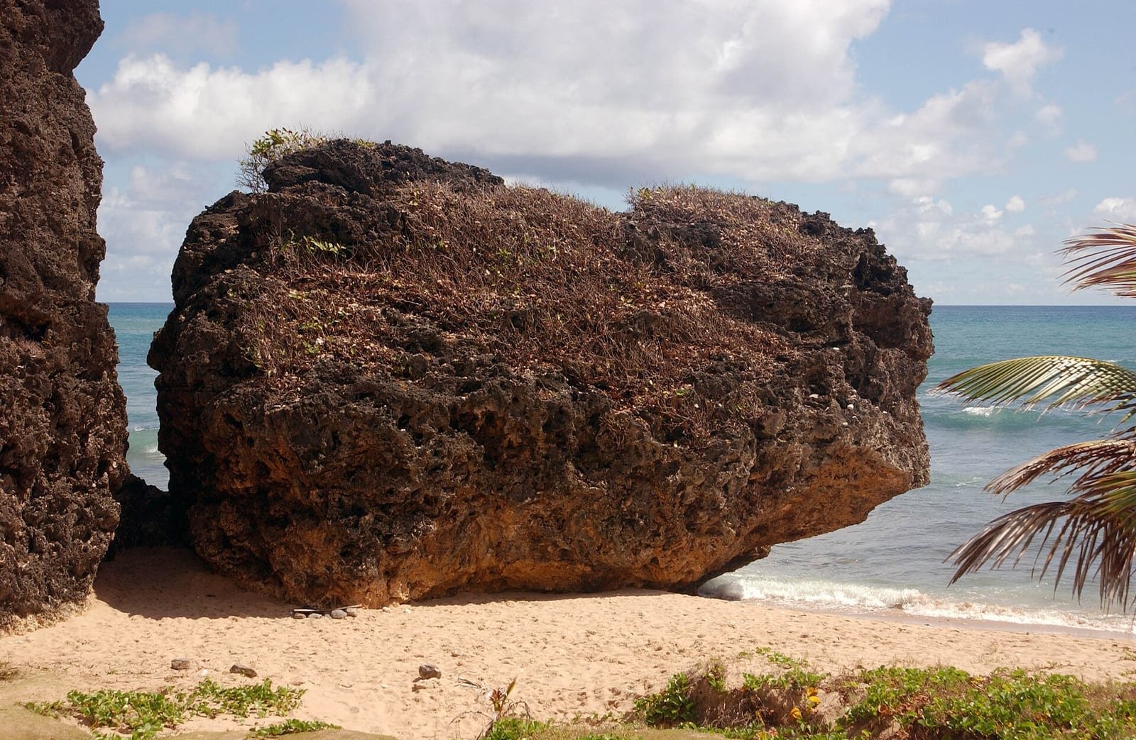 Barbados — BATHSHEBA ROCK - ST. JOSEPH PARISH - BARBADOS.jpg
